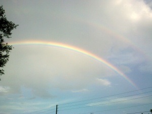 One of the many rainbows I've seen on my way to kickboxing 