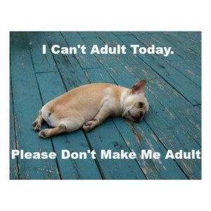 post-59200-I-cant-adult-today-meme-Imgur-jQSr
