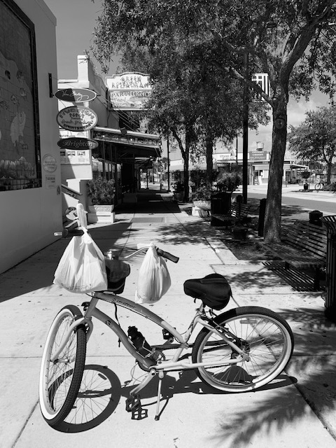 Sponge docks bicycle