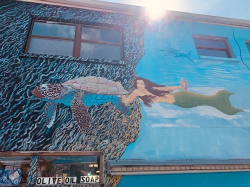 Sponge docks mermaid and turtle