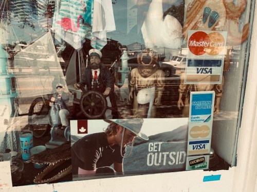 Sponge docks window display